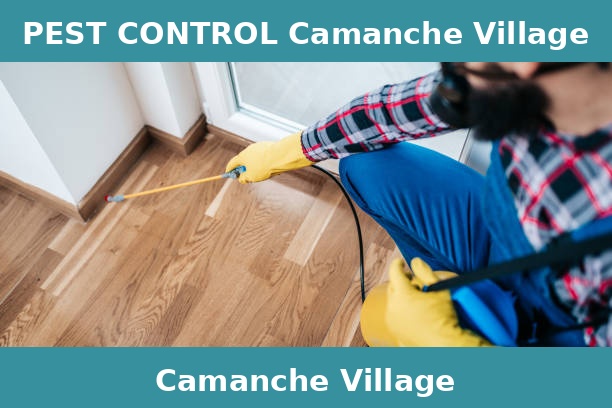 PEST CONTROL Camanche Village